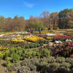 Botanical Garden of Kryvyi Rih State Pedagogical University - Kryvyy Rih