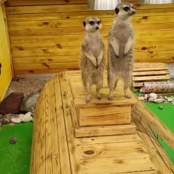 Kryvyi Rih Zoo - Kryvyy Rih