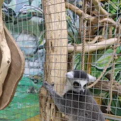 Kryvyi Rih Zoo - Kryvyy Rih