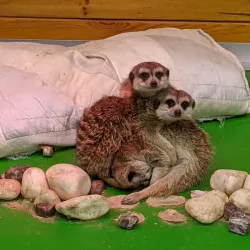 Kryvyi Rih Zoo - Kryvyy Rih