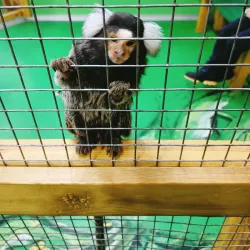 Kryvyi Rih Zoo - Kryvyy Rih