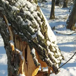 Kup”yans'k Art Gallery - Kup”yans'k