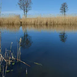 Kup”yans'k Central Park - Kup”yans'k