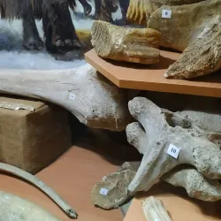 Kup”yans'k Historical Museum - Kup”yans'k