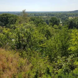 Lubny City Park - Lubny