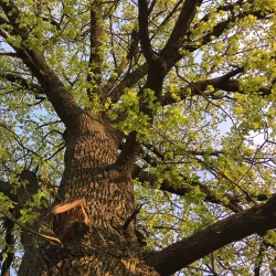 Lubny City Park - Lubny