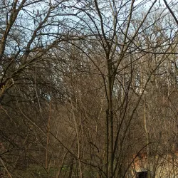 Lubny City Park - Lubny