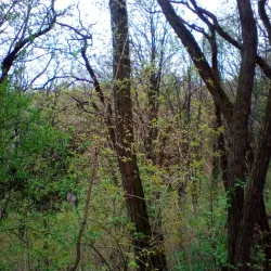 Lubny City Park - Lubny