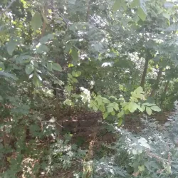 Lubny Local History Park - Lubny