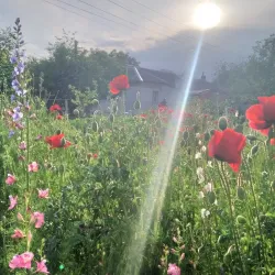 Monument to Taras Shevchenko - Lubny