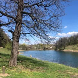 Lyubotin Central Park - Lyubotin