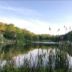 Lyubotin Central Park - Lyubotin