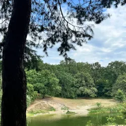 Lyubotin Central Park - Lyubotin