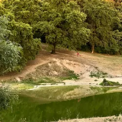 Lyubotin Central Park - Lyubotin