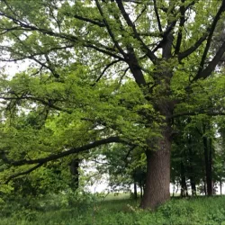 Lyubotin Central Park - Lyubotin