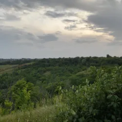 Sosnivka Park - Lyubotin