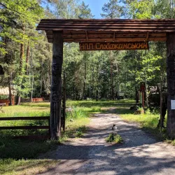 Sosnivka Park - Lyubotin