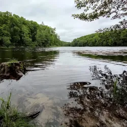 Sosnivka Park - Lyubotin
