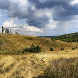 Sosnivka Park - Lyubotin