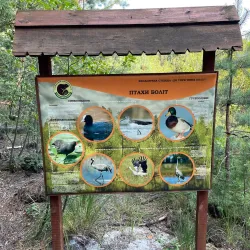 Sosnivka Park - Lyubotin