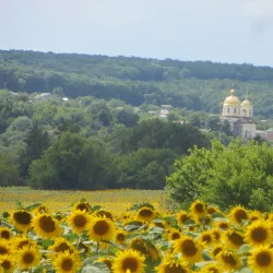 St. Nicholas Church - Lyubotin
