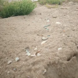 Azov Sea Coastline and Beaches - Mariupol