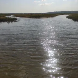 Azov Sea Coastline and Beaches - Mariupol