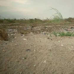 Azov Sea Coastline and Beaches - Mariupol