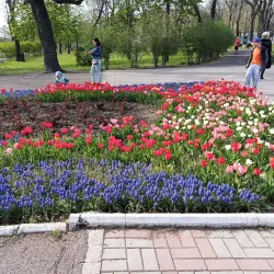 Mariupol City Garden - Mariupol