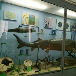 Mariupol Museum of Local Lore - Mariupol