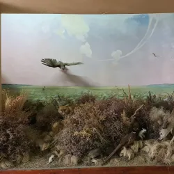 Mariupol Museum of Local Lore - Mariupol