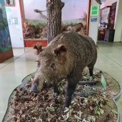 Mariupol Museum of Local Lore - Mariupol