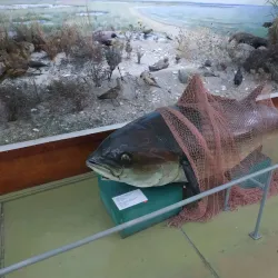 Mariupol Museum of Local Lore - Mariupol