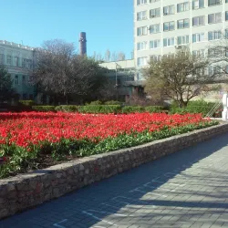 Botanical Garden of Melitopol - Melitopol