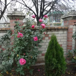 St. Nicholas Church - Melitopol