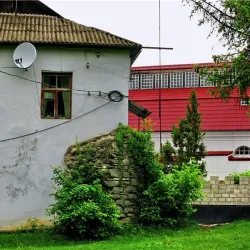 Outdoor Activities - Murovani Kurylivtsi