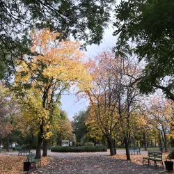 Central Park of Culture and Leisure - Mykolaiv