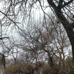 Central Park of Culture and Leisure - Mykolaiv