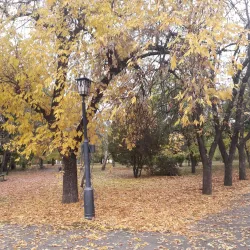 Central Park of Culture and Leisure - Mykolaiv