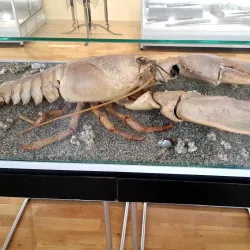 Mykolaiv Regional Museum of Local Lore - Mykolaiv