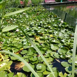 Central Park of Culture and Recreation - Myrhorod