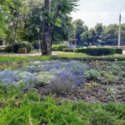 Nikopol Metallurgical Plant - Nikopol'