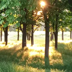 Victory Park - Nikopol'