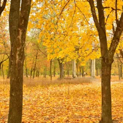 Victory Park - Nikopol'