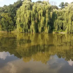 Nizhyn Drama Theater - Nizhyn