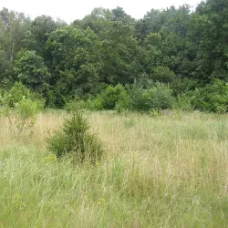 Park of Culture and Recreation - Nizhyn