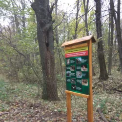 Park of Culture and Recreation - Nizhyn