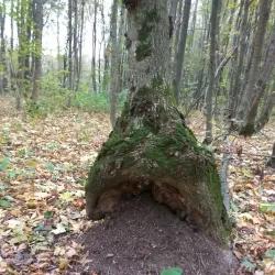 Park of Culture and Recreation - Nizhyn