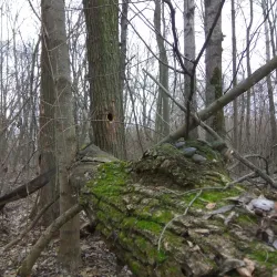 Park of Culture and Recreation - Nizhyn