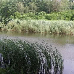 Park of Culture and Recreation - Nizhyn